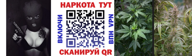 Наркошоп купить СК  Меф  Галлюциногенные грибы  Cocaine  Заволжье