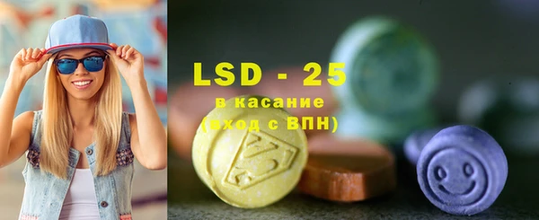 индика Карталы