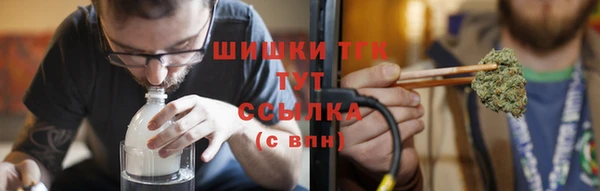 индика Карталы