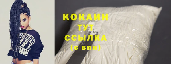 индика Карталы