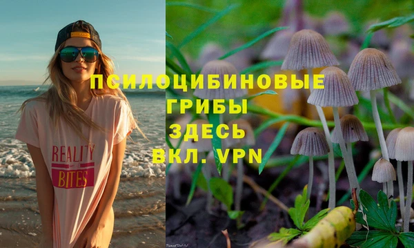 индика Карталы
