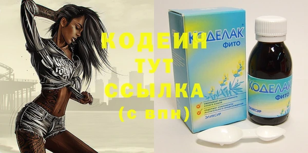 индика Карталы