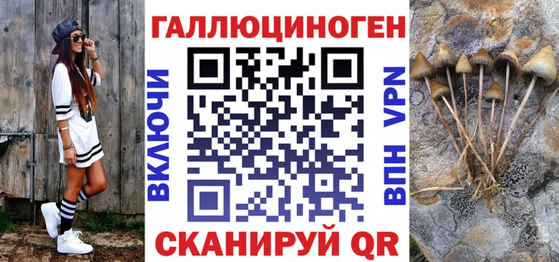 Купить  Заволжье  Псилоцибиновые грибы Psilocybine cubensis 